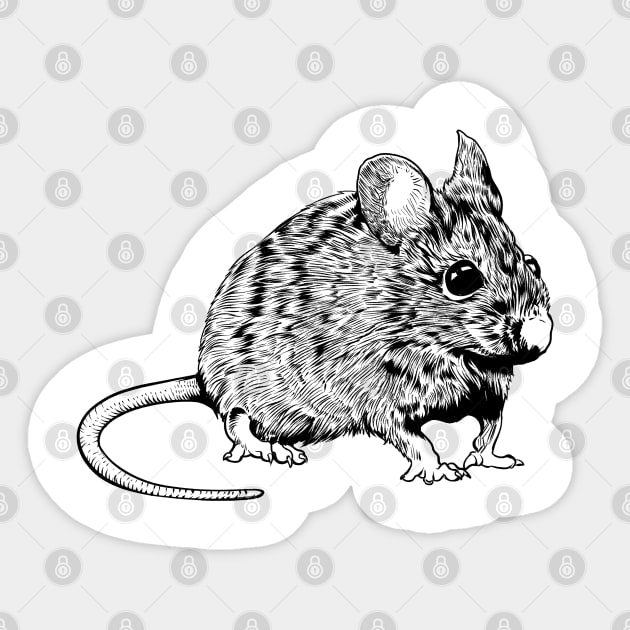 Black and white drawing - mouse Sticker by Modern Medieval Design